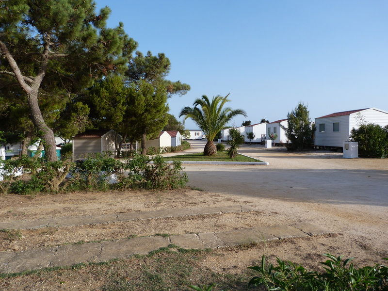Parque De Campismo Orbitur Sagres Hotel Bagian luar foto